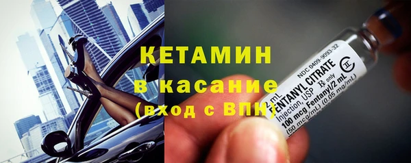 стаф Нея