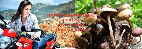 каннабис Новокубанск