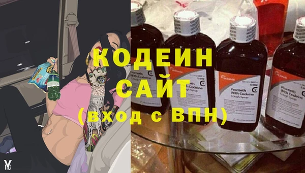 стафф Вяземский