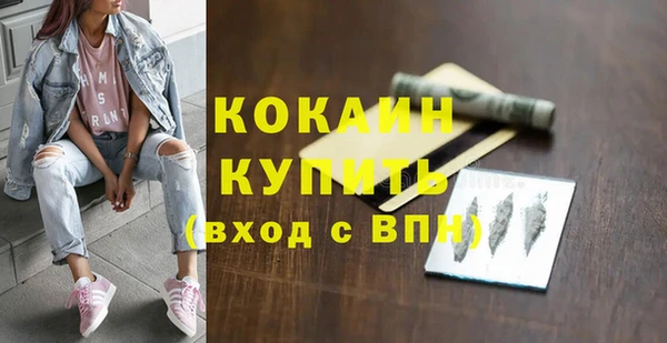 стаф Нея